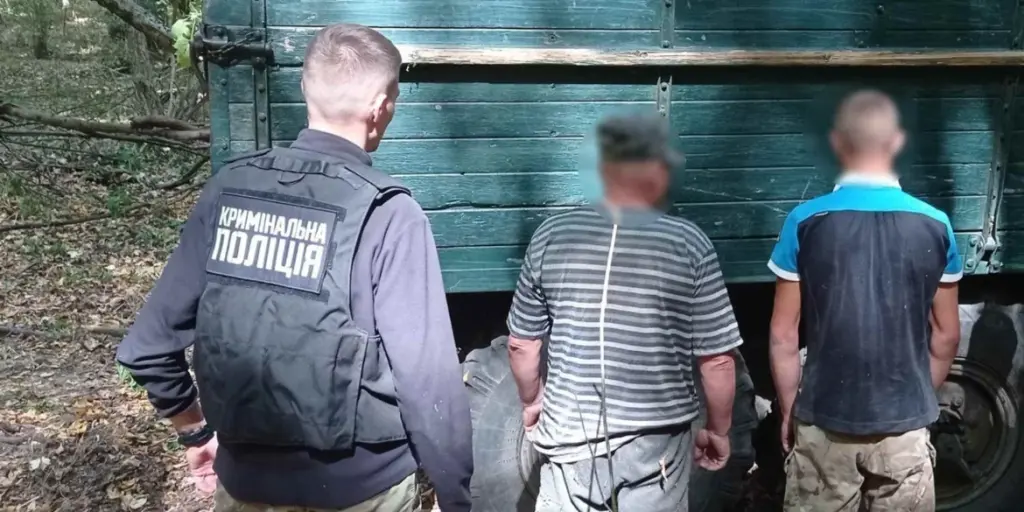 На Вінниччині викрили «чорних лісорубів», які вирубували дуби у національному парку