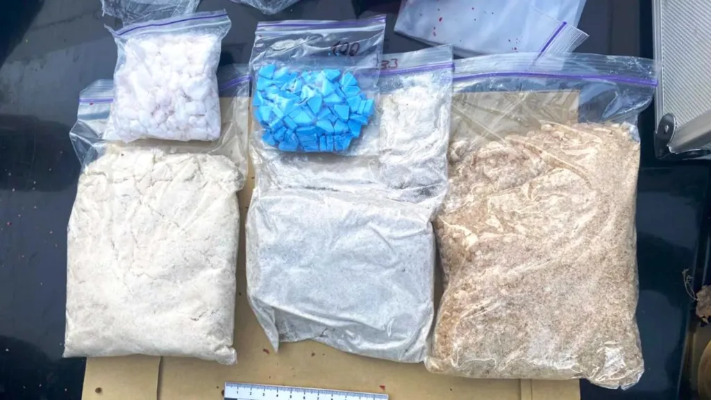 У Вінниці поліція затримала кур’єра з Кривого Рогу з кілограмом психотропних речовин