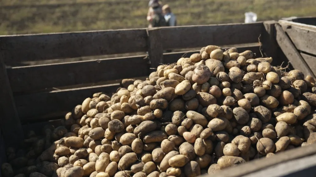 На Вінниччині прогнозують подорожчання продуктів: борщовий набір зросте на 10–15%