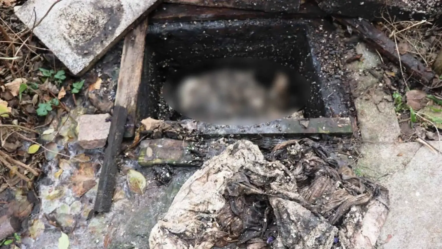 На Вінниччині викрили вбивство, приховане майже дев’ять місяців