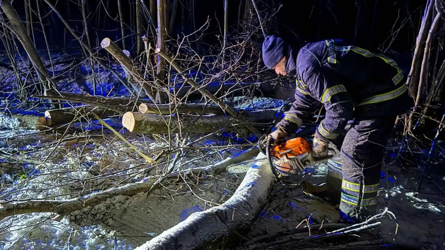 Нічна негода на Вінниччині: повалені дерева перекрили дороги