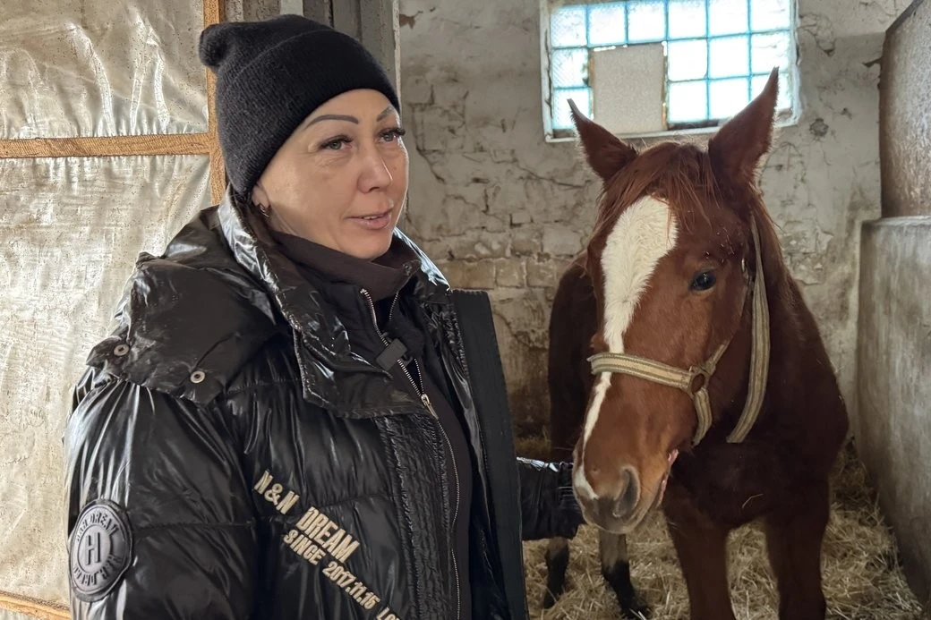 Подвійна евакуація і новий старт: як врятовані коні облаштовуються у Миколаєві