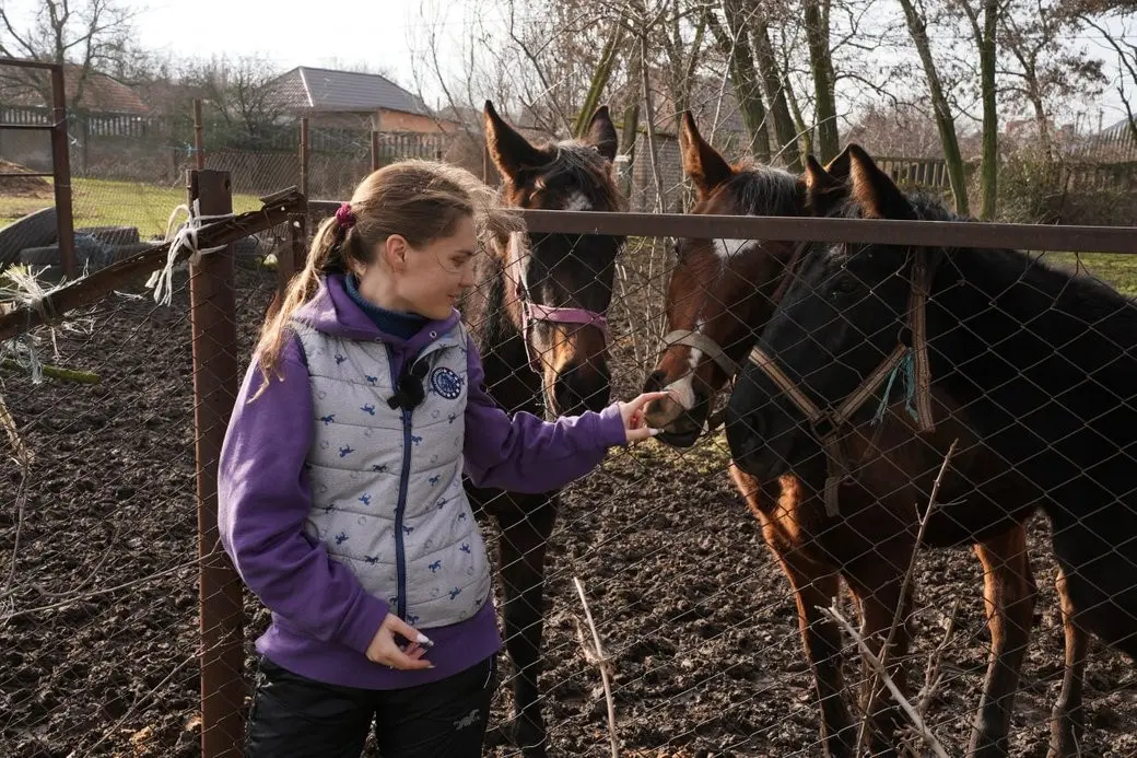 Подвійна евакуація і новий старт: як врятовані коні облаштовуються у Миколаєві
