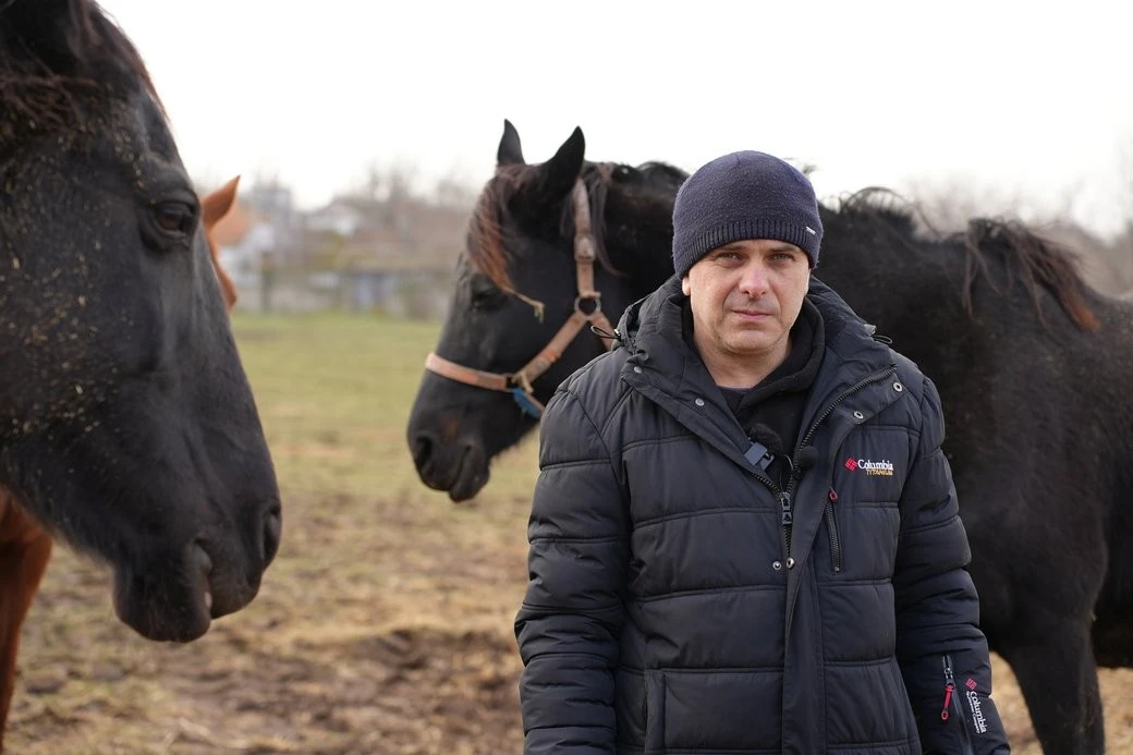 Подвійна евакуація і новий старт: як врятовані коні облаштовуються у Миколаєві