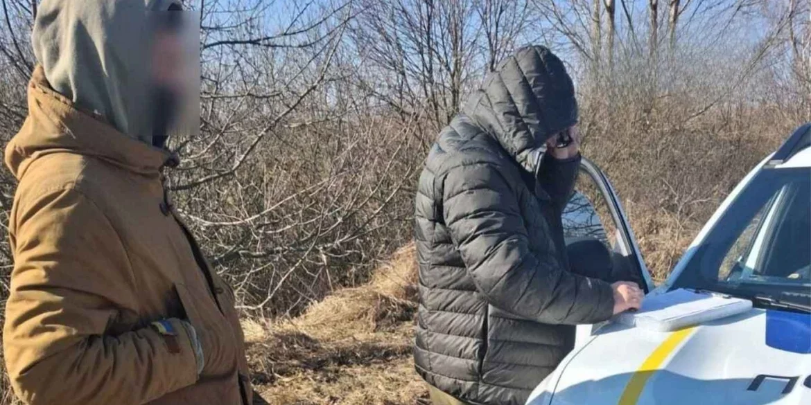 Незаконна вирубка на Вінниччині – у громаді викрили порушника з десятками знищених дерев