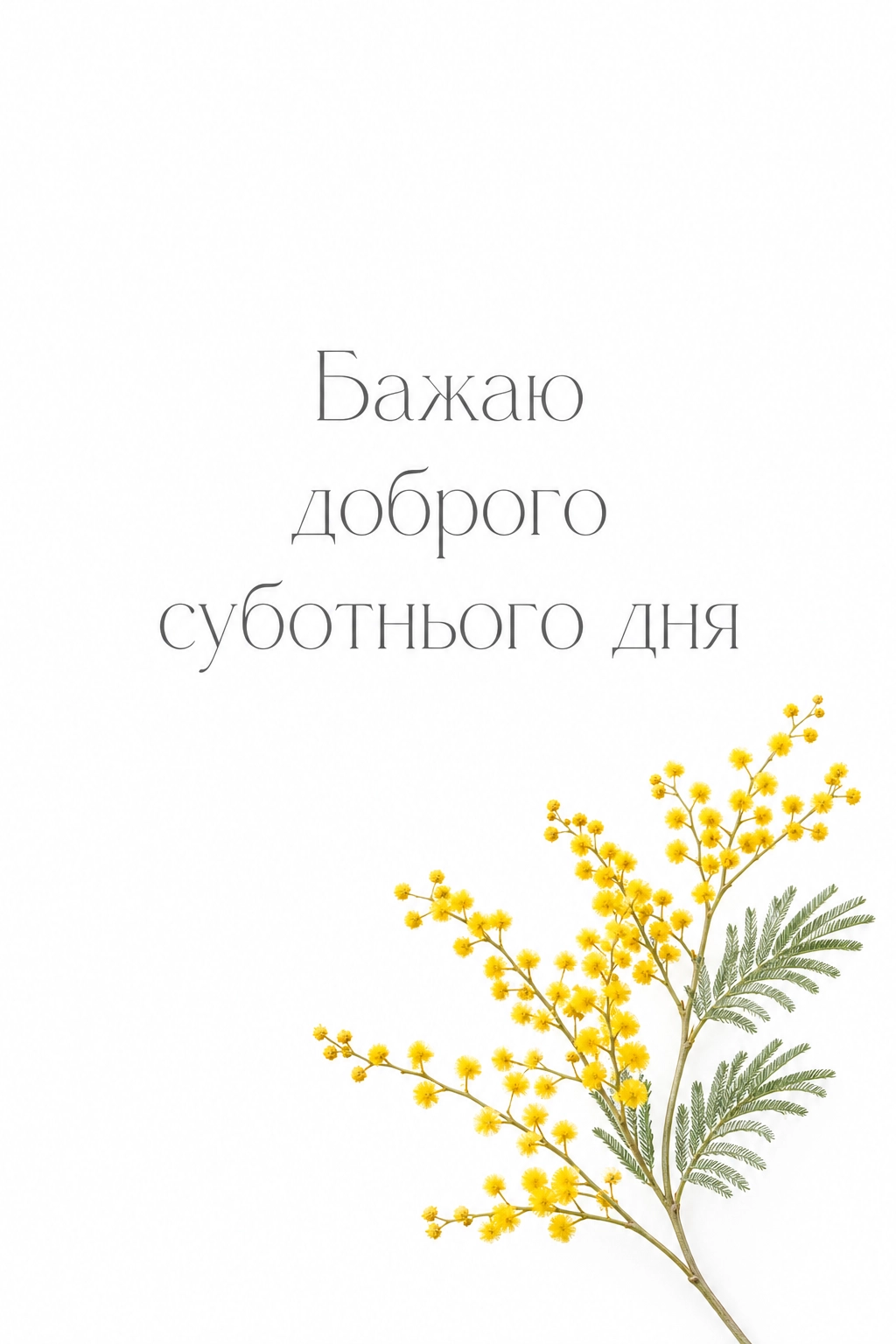Доброго суботнього дня: найкращі побажання та картинки для затишного відпочинку