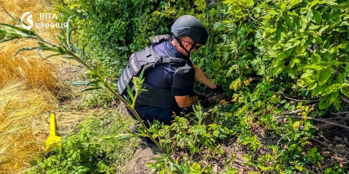 Відгомін минулих воєн: у Гайсинському районі знешкодили вибухонебезпечні знахідки