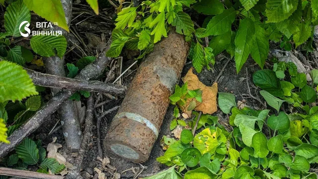 Відгомін минулих воєн: у Гайсинському районі знешкодили вибухонебезпечні знахідки
